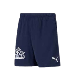 Short TeamRISE ADULTE Navy