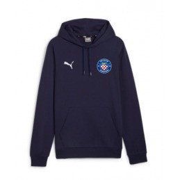 TeamGoal Hoody Junior Navy